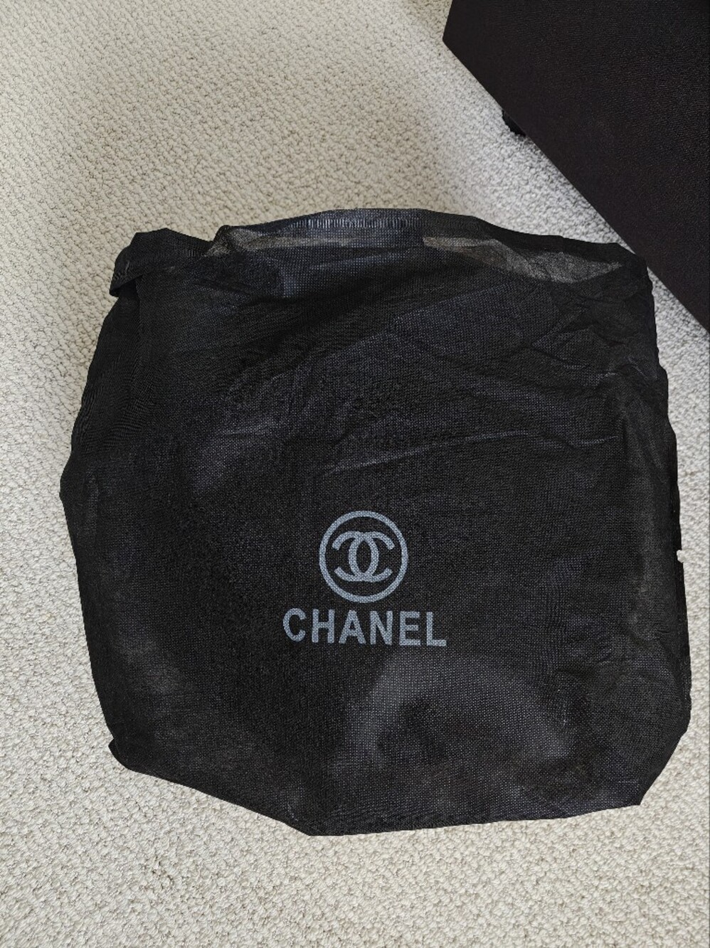 CHANEL Maxi Souplissimo Large Flap Bag with Silver Hardware - Picture 8 of 8